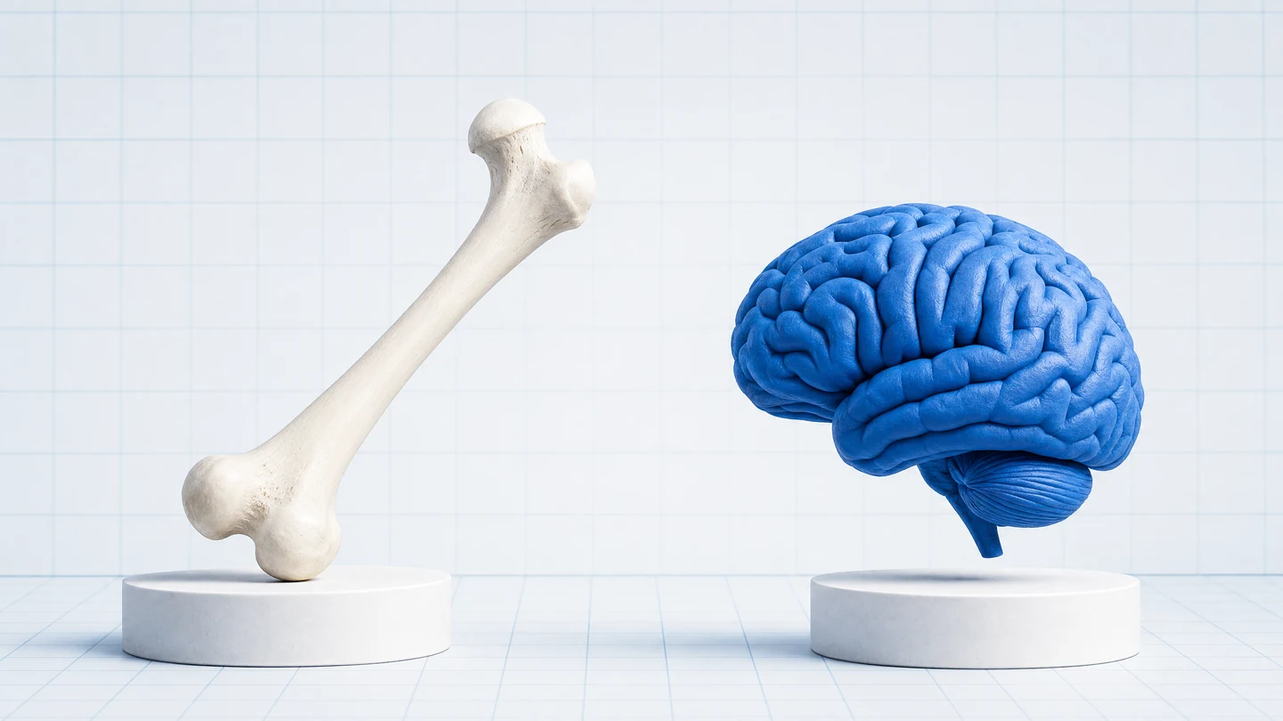 Bone or Brain? tool cover